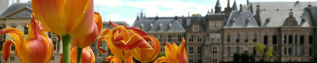 Stadspagina Energievergelijker Den Haag Klein