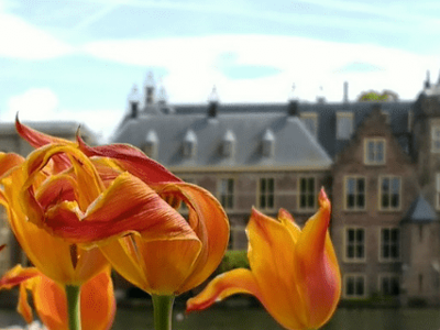 Stadspagina Energievergelijker Den Haag Klein