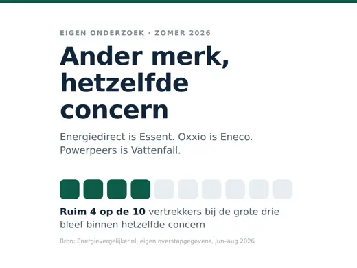 Wie de grote drie verlaat, komt vaak weer bij hetzelfde concern uit